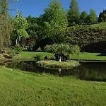 Restaurant La Roseraie בית הארחה Grandrupt