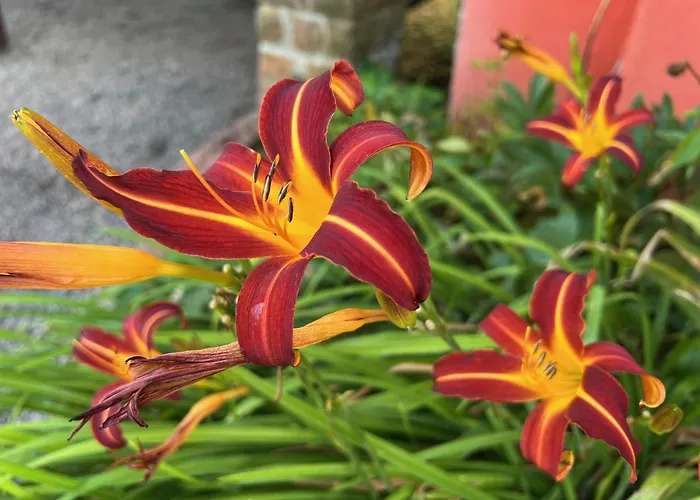 Гостевой дом Restaurant La Roseraie Grandrupt